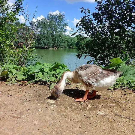 Les De L'isle Jourdain Horská chata